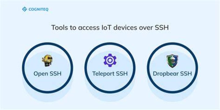 Connecting to Your Tiny Devices: An SSH Remote IoT Example for Everyone