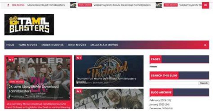 Decoding Tamilblasters: Latest URLs & Risks [2024 Guide]