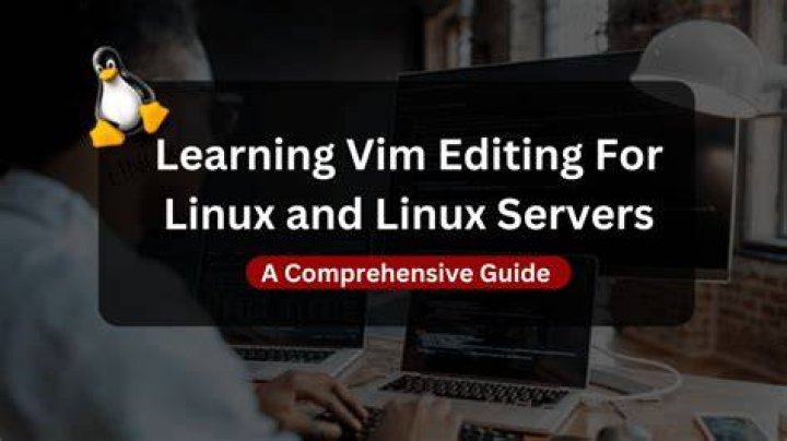 Learn: Vim & Linux Basics - No Search Results!