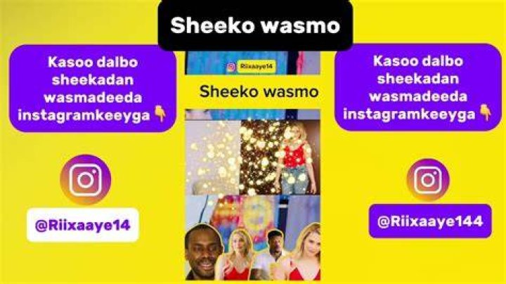 Wasmo Sheeko